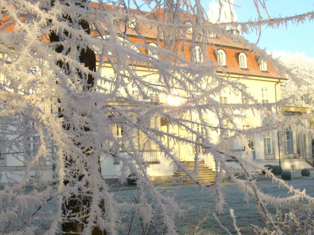 Hotel Schloss Storkau Exterior foto